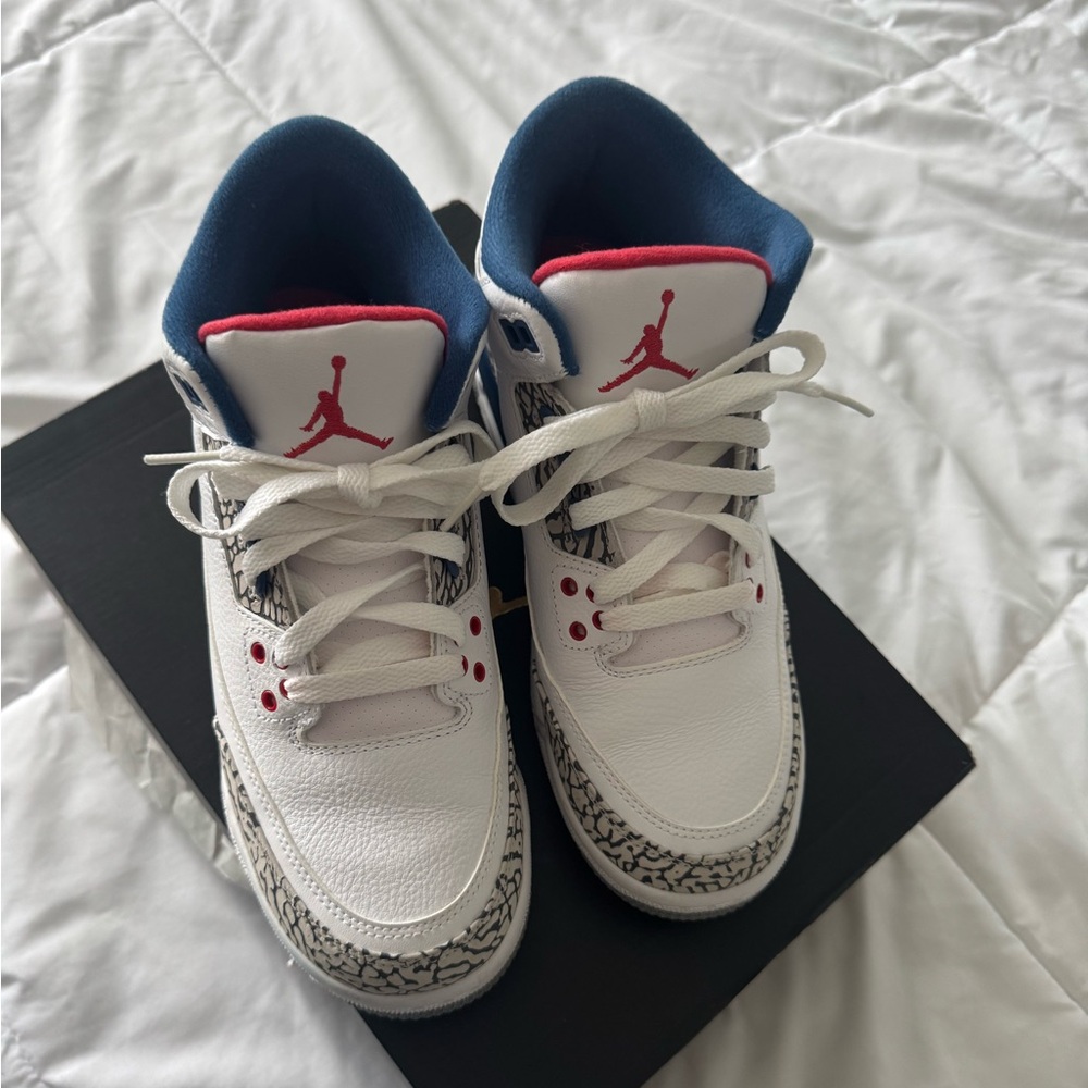 Air Jordan True Blue 3